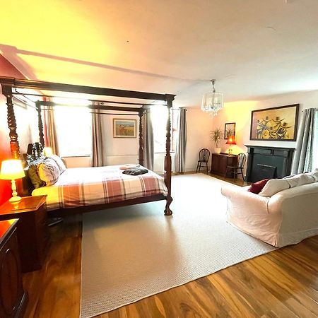 Spacious Garden Flat In Snowdonia National Park Brynkir Extérieur photo